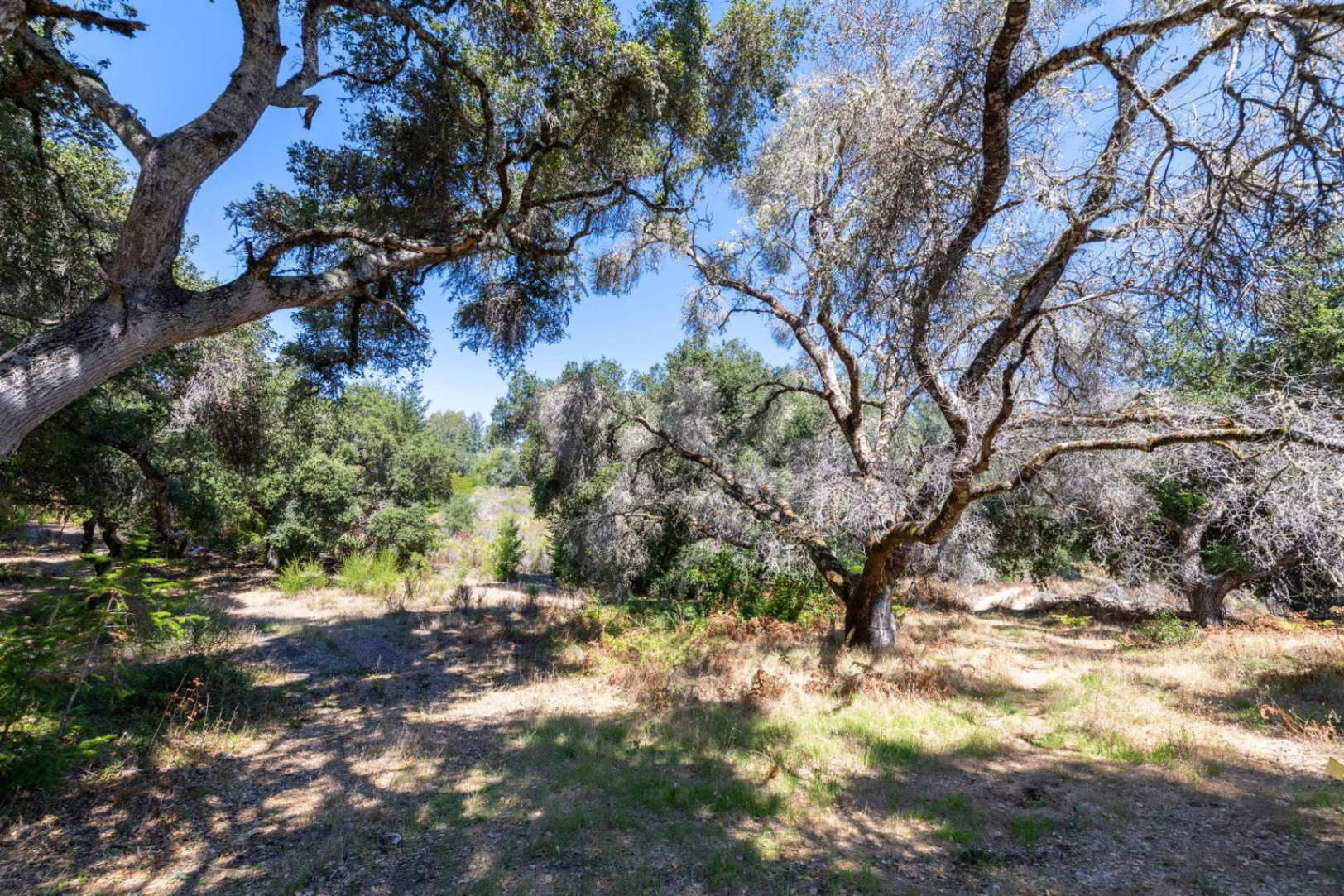 2372 McKenzie Creek Road, view 2