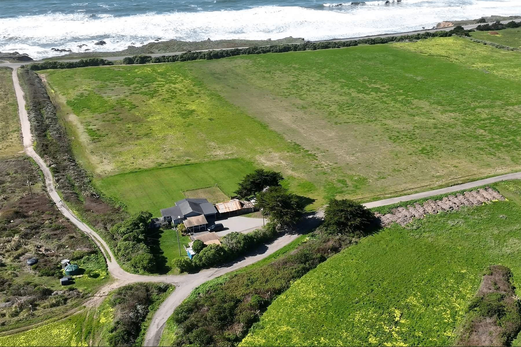 Pescadero Coastal Assemblage, view 3