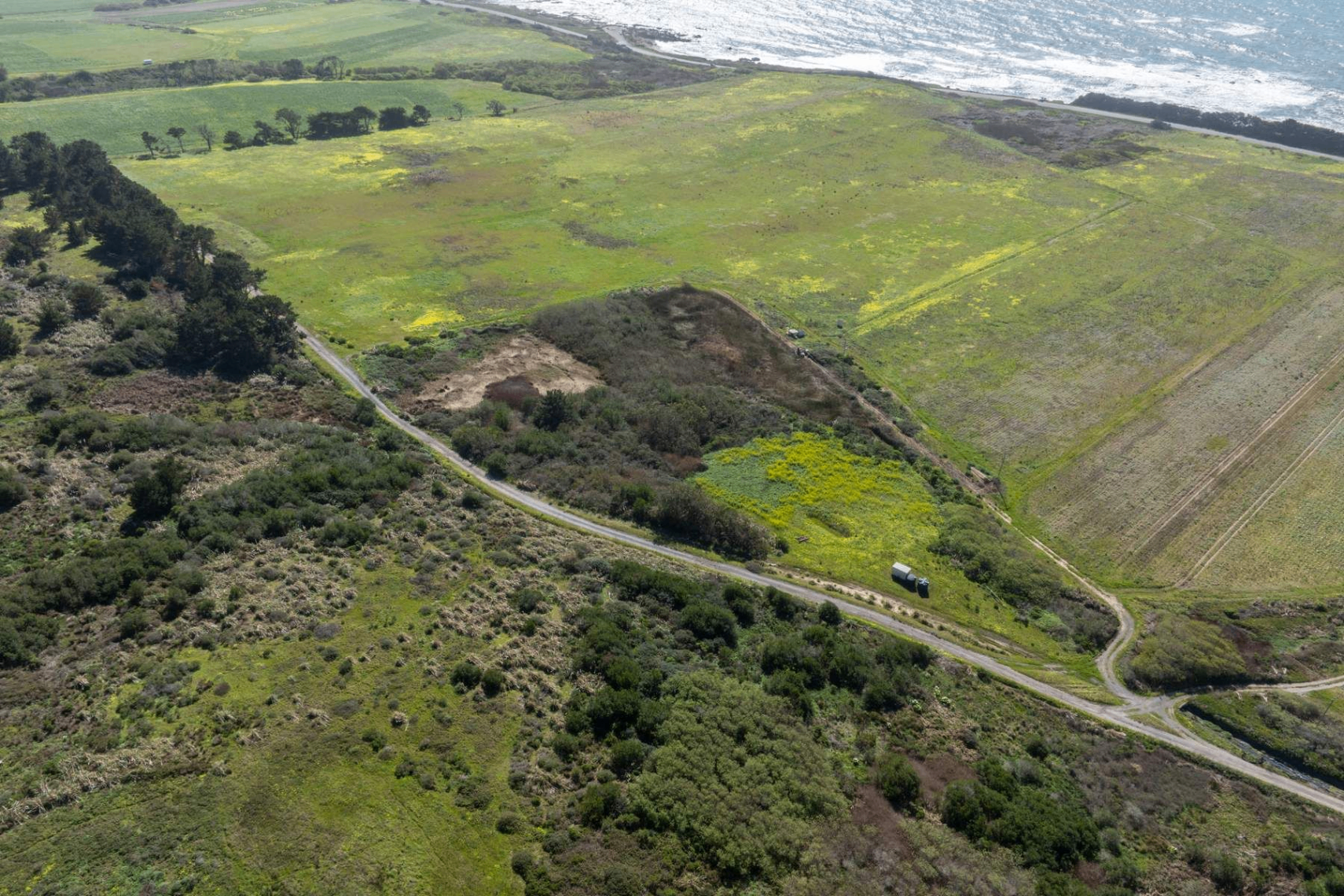 Pescadero Coastal Assemblage, view 4
